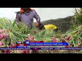 Bencana Bajir : Rendam Ratusan Hektar Tanaman Bawang, Mengganggu Siswa di Hari Ujian - NET 16