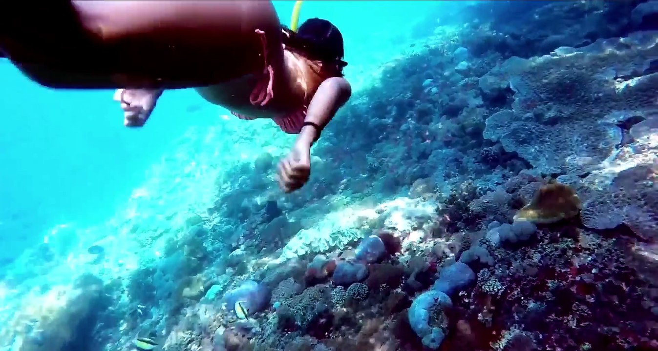 Dj Dark x Dj George A - Je t`aime