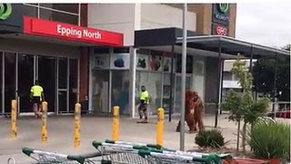 Abusive Bear Prank - Pranked The Police As Well!