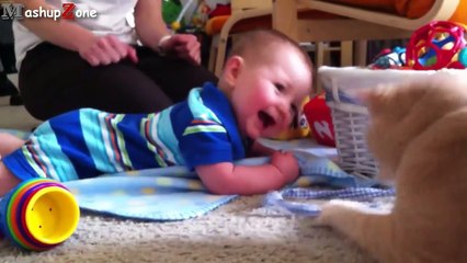 Cats, Dogs And Adorable Babies Compilation [NEW]