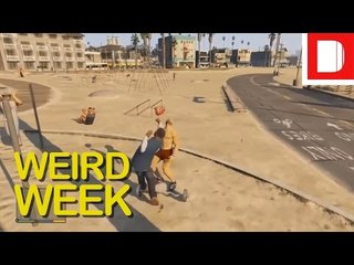 FBI's Terror Fix, Sperm Whales & Doggy Dinners - John's Weird Week