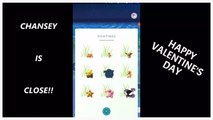 Pokemon GO CHANSEY HUNT VLOG Valentine's Event .. Plus LAPRAS SNORLAX & MUK