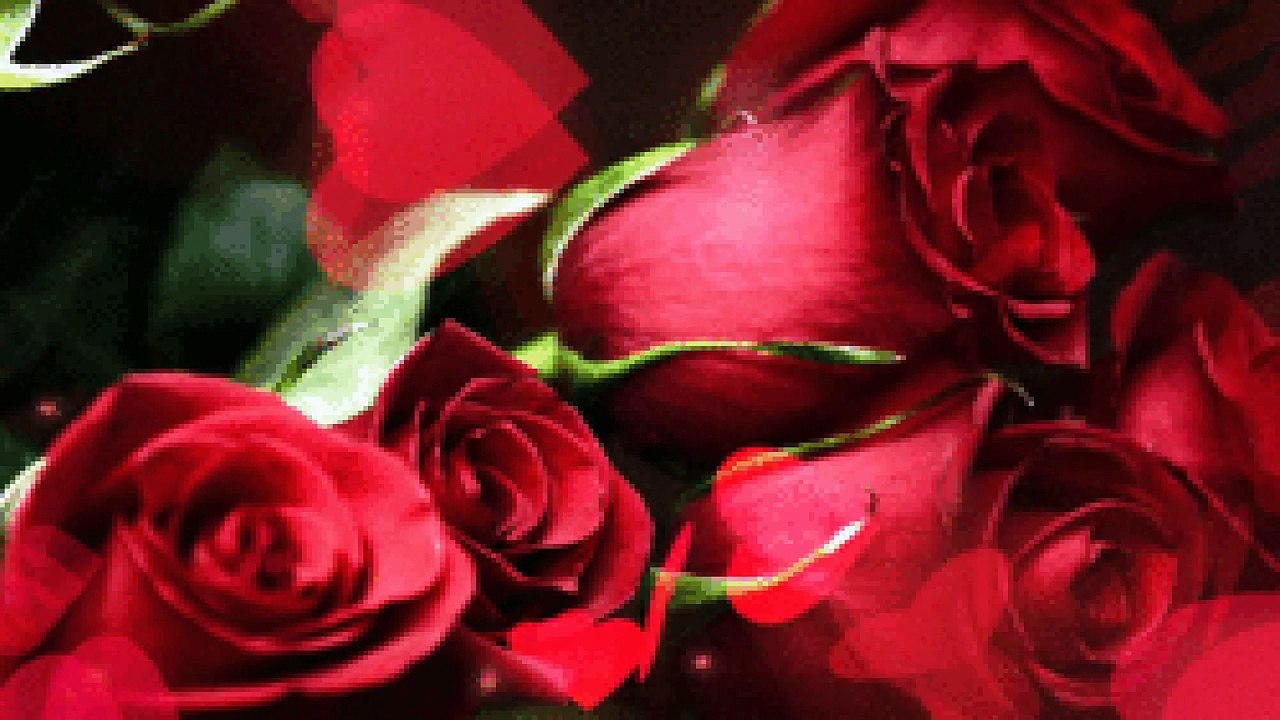 Bonjour Bonne Semaine a tous