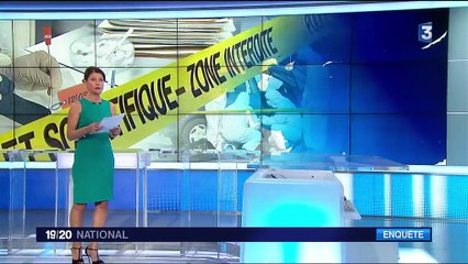 Attentat déjoué dans l'Hérault : les trois suspects devant un juge