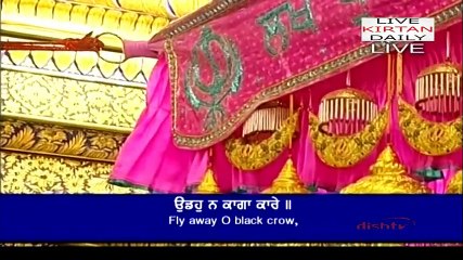 Live Kirtan from Sri Darbar Sahib, 15 February 2017 (Morning)