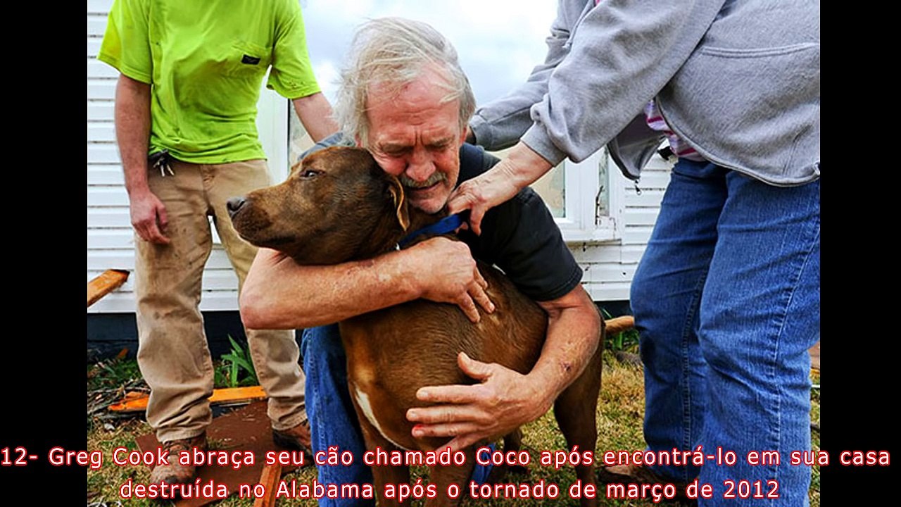 As 43 Fotos Mais Emocionantes já Tiradas - Assista é Incrível!