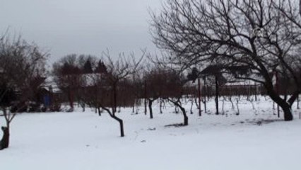 Zigetvar'daki Kanuni Türbesinde Çalışmalar Sürecek