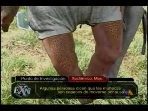 Extranormal, La casa de las muñecas