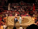 Sumo Tournament Ryogoku