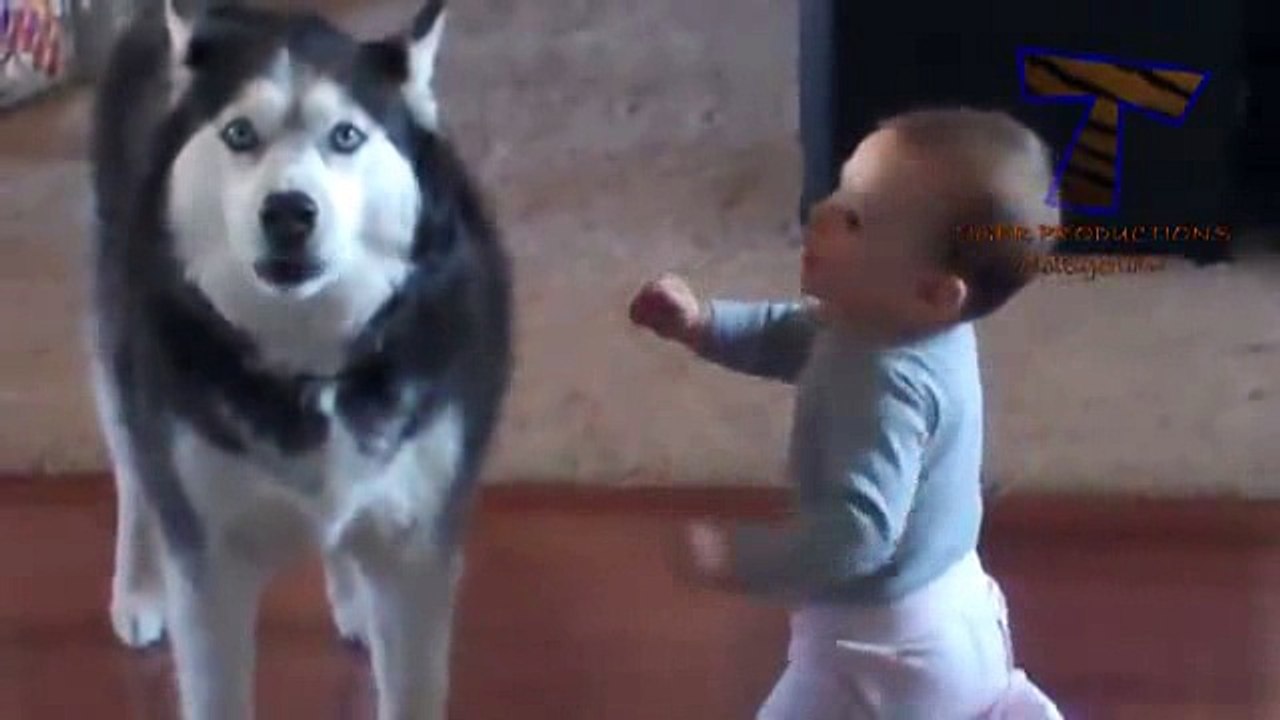 Funny babies _12