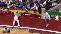 Amazing Bull Fights