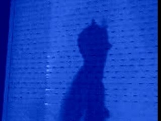 Batman's little Batman