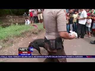 Polisi Terjunkan 2 Anjing Pelacak Menyisir Lokasi Pembunuhan - NET16