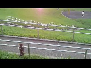 Cat Feeling Tired and sitting relaxed