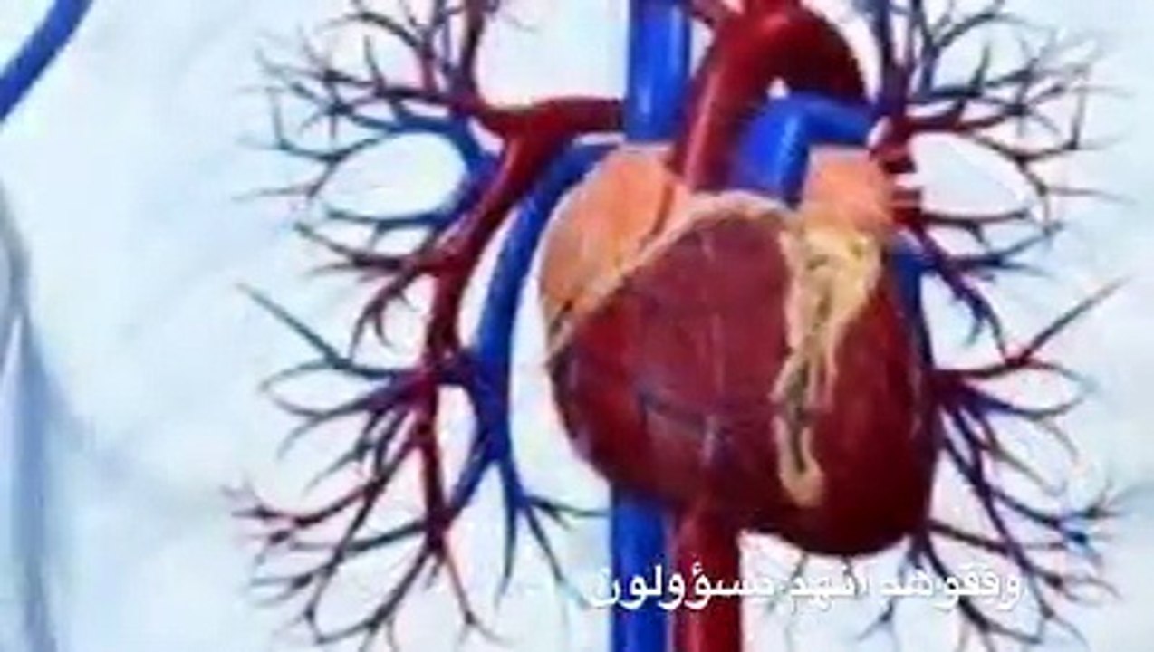 فوائد الزنجبيل والليمون