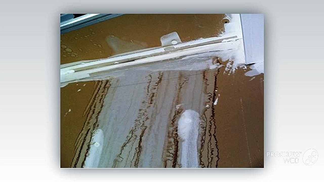 Why you need an Insurance Adjuster for Water Damage?