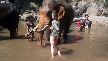 Never piss off an elephant-RNs3jcEWdzA