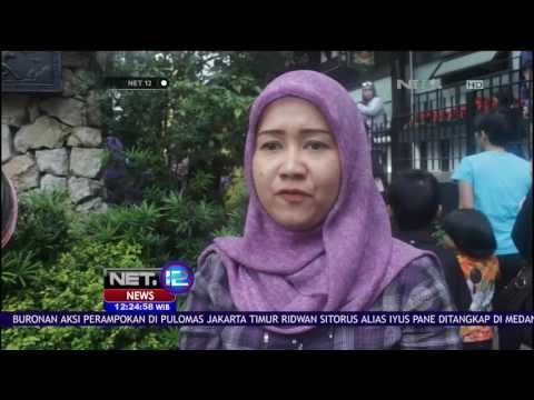 Liburan Awal Tahun, Wisata Lembang Diserbu Wisatawan - NET12