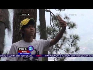 "Omah Kayu" Wisata Alam Rumah Kayu di Hutan Pinus — NET12