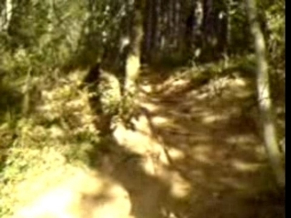 Vtt