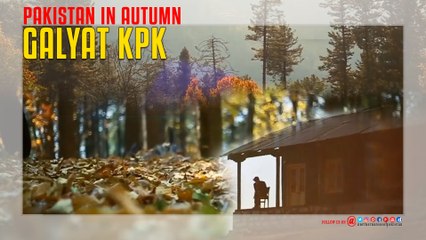 Galyat KPK Pakistan IN Autumn