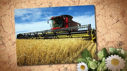 How To Choose The Right Farmers Insurance For Grain