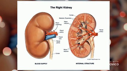 Best Kidney Hospital In Delhi-Ncr