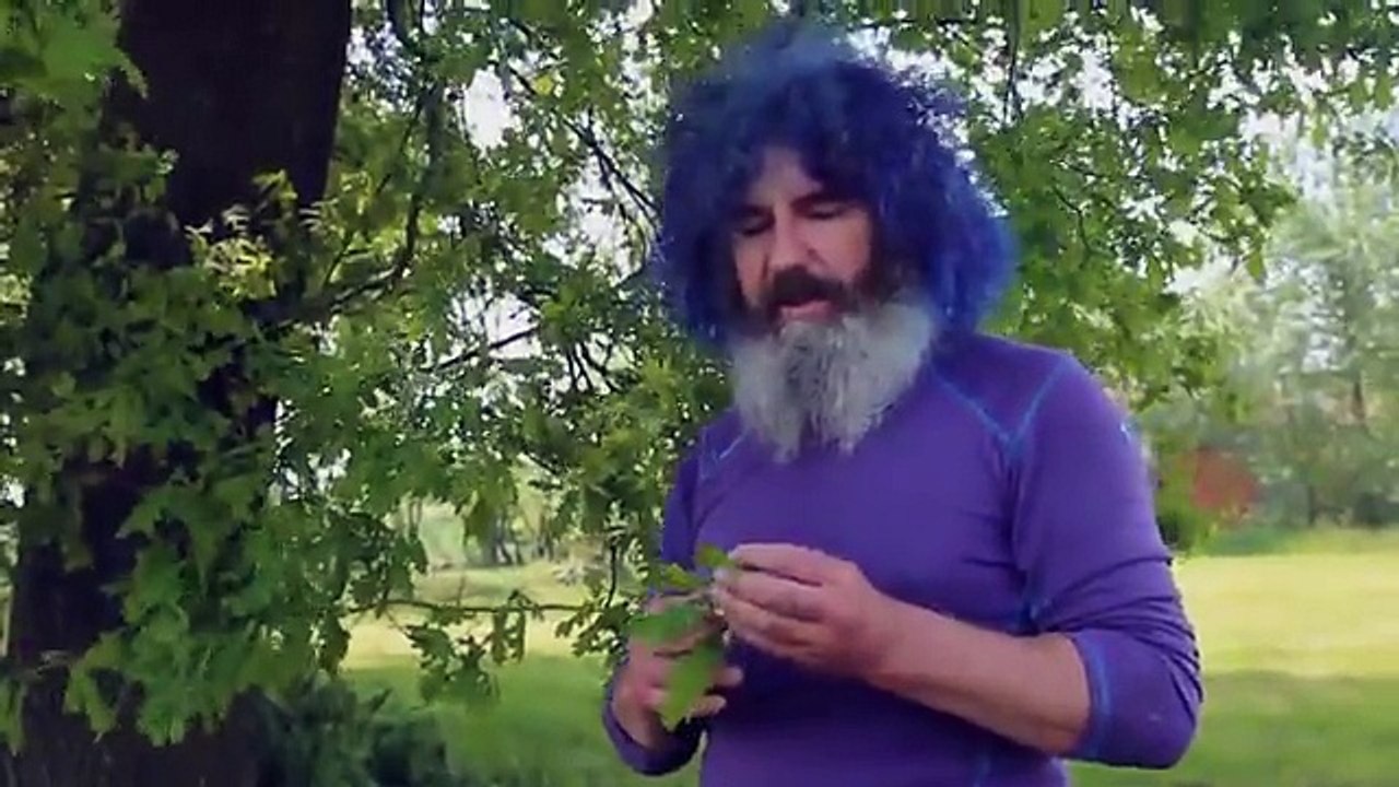 Robert Franz - Kräuter-ABC: Eichenblätter