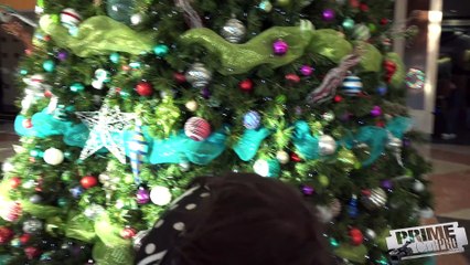 15. Tampa Auto Show - 2017 Lamborghini Aventador & Lexus