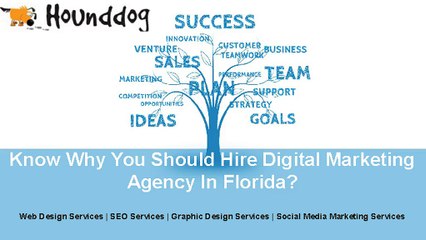 Hire Digital Marketing Agency In florida To Increase Your Sale