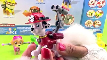 Paw Patrol Video shows Thomas and Friends rescued from toy train crash