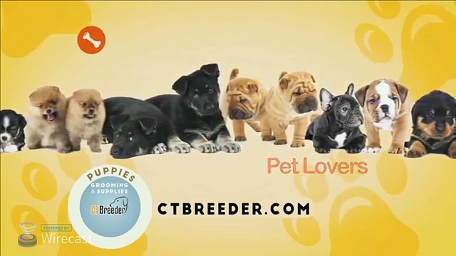 CT Breeder
