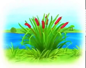 Mejor que desarrolla de dibujos animados para niños Tiny Love 1 y 2 parte