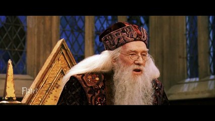 Every Harry Potter Movie but only the words Harry and Potter