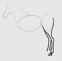 How to draw a horse - at nasıl çizilir