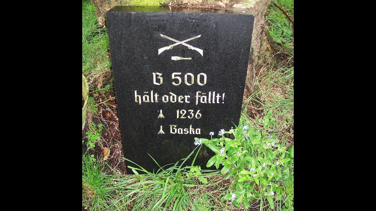 Die letzten Tage meiner Kompanie - von Frithjof Elmo Porsch