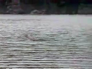 먹튀없는카지노せ／／ ＧＭ５５４。COM  ／／ほ단통경마