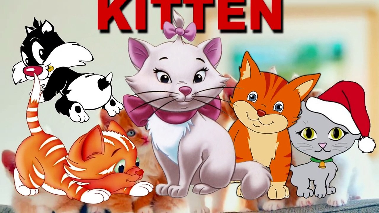 Three Little Kittens and Many More Kitten Cat Songs | Popular Nursery Rhymes Collection |