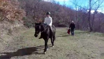 Une jeune fille fait une belle chute à cheval !