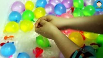 1 Hour Songs for Babies - Learning Colors with REAL CAT Balloons Finger Family for Kids CO