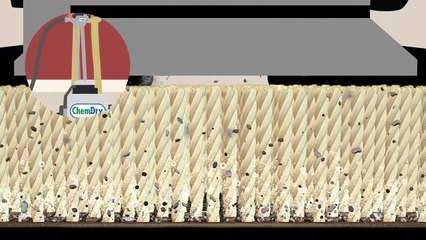 Chem-Dryın-Üstün-Sıcak-Karbonatlı-Ekstraksiyonlu-halı-yıkama-Süreci - 10Youtube.com