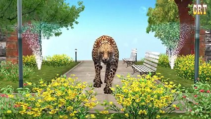 Animals Finger Family Nursery Rhymes For Cartoon Kids Rhymes Collection