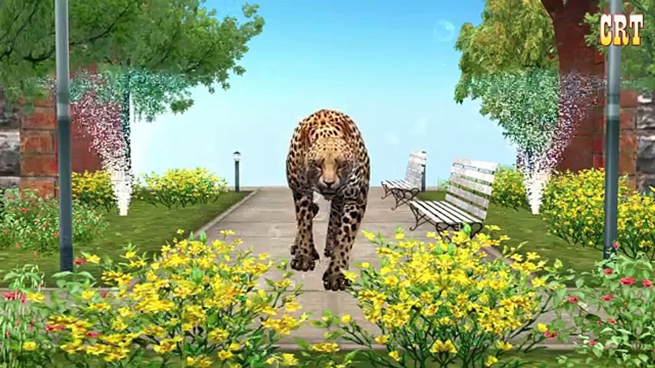 Animals Finger Family Nursery Rhymes For Cartoon Kids Rhymes Collection