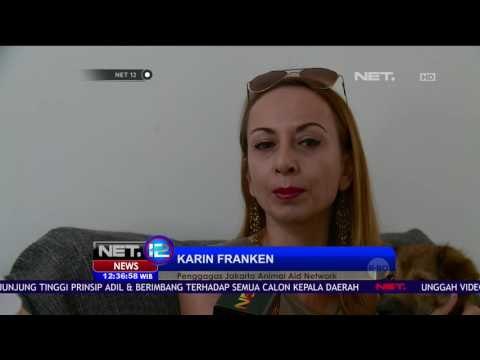 Aktivis Pecinta Hewan Sesalkan Petugas yang Tembak Mati Anjing Liar - NET 12