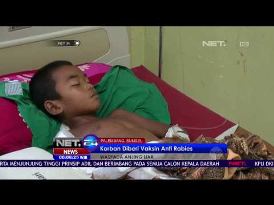 Kondisi Korban Anjing Liar Mulai Membaik - NET 24