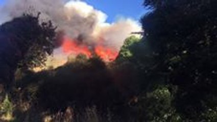 Bushfires Scorch More Than 600 Hectares Near Christchurch