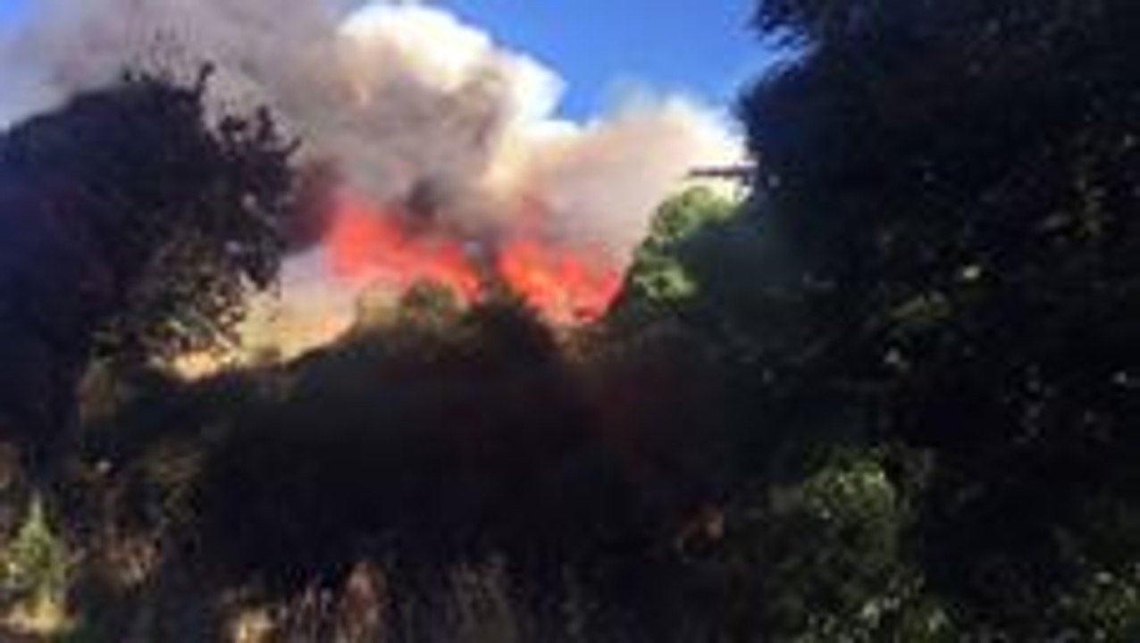 Bushfires Scorch More Than 600 Hectares Near Christchurch
