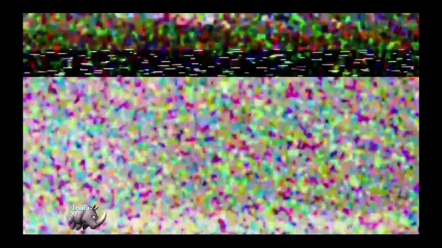 Incrível urso tentando comer câmera, curiosidade animal, Animais selvagens, Confrontos animais, batalha animal,