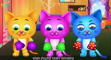 Tres Pequeños Gatitos y Muchos Más Gatito Gato Canciones Populares canciones infantiles de la Colección |