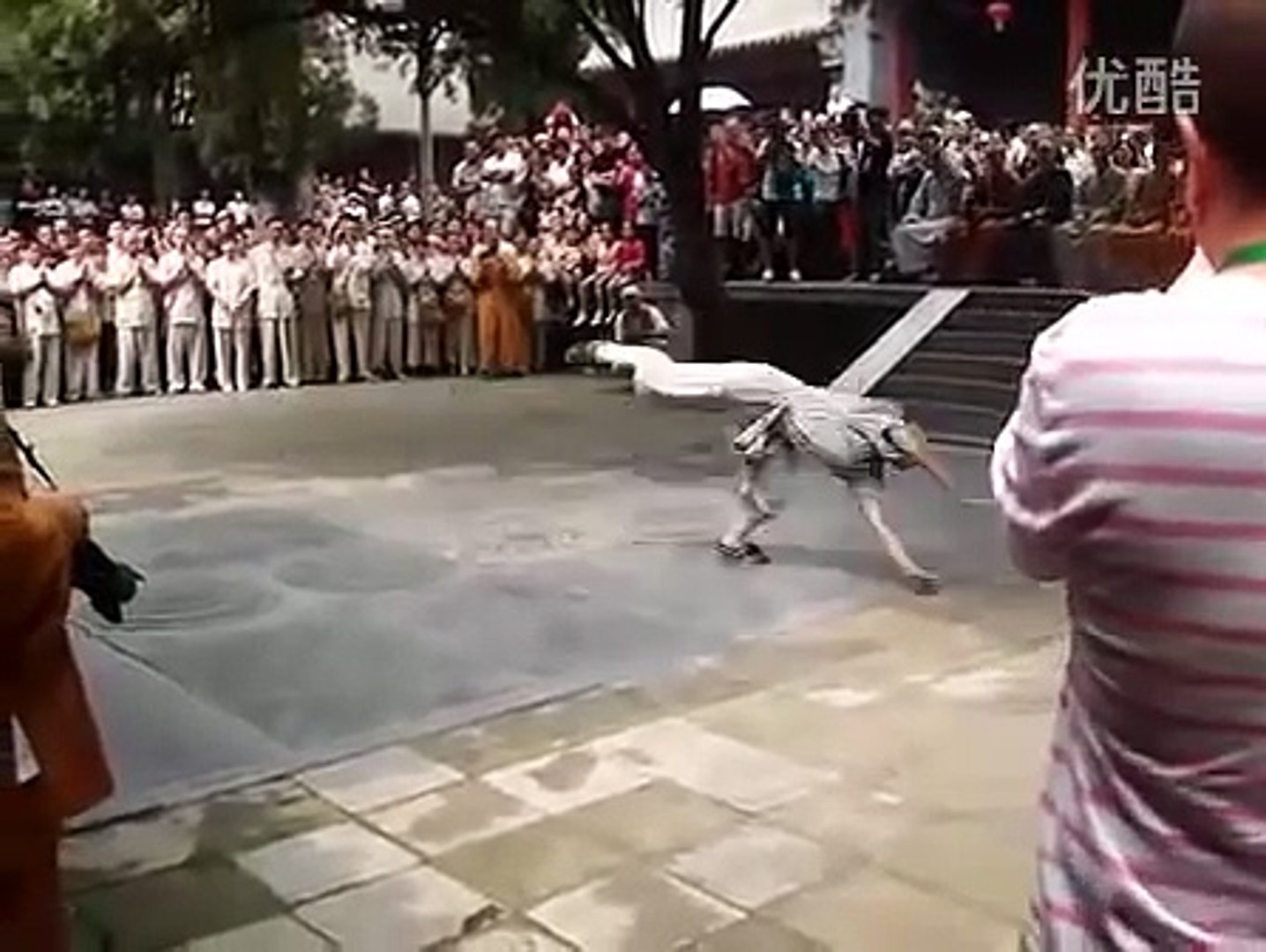 Шаолинь КУНГ ФУ В РЕАЛЬНОСТИ - Показательные выступления